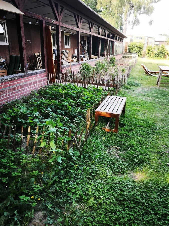 Gaestehaus Maria Rast Suderburg Extérieur photo